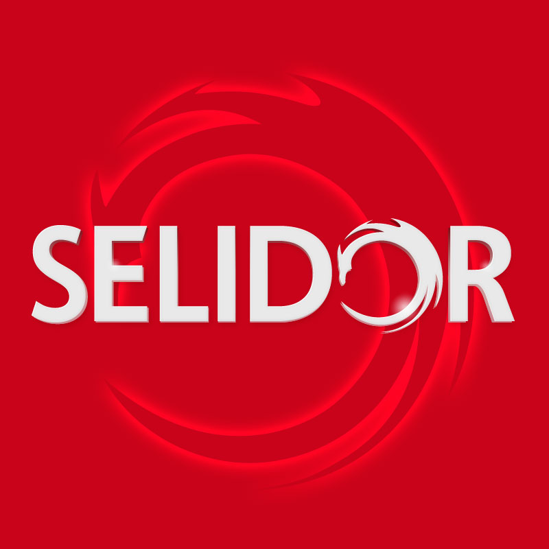 Logo firmy Selidor T.Puza, Ł.Wasilewski Sp.J.